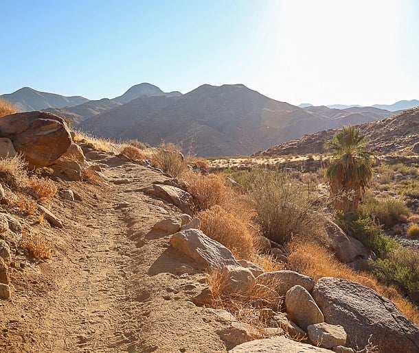 are dogs allowed at tahquitz canyon